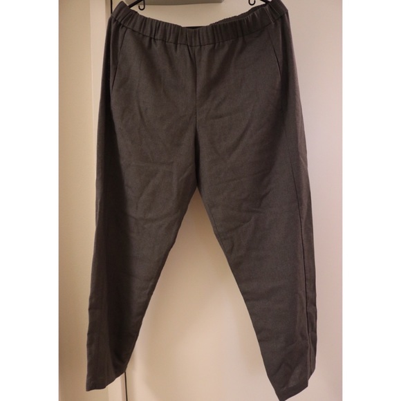 100% wool theory pants